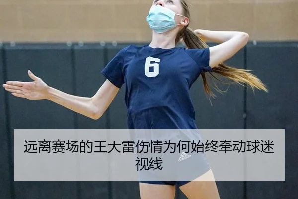 远离赛场的王大雷伤情为何始终牵动球迷视线
